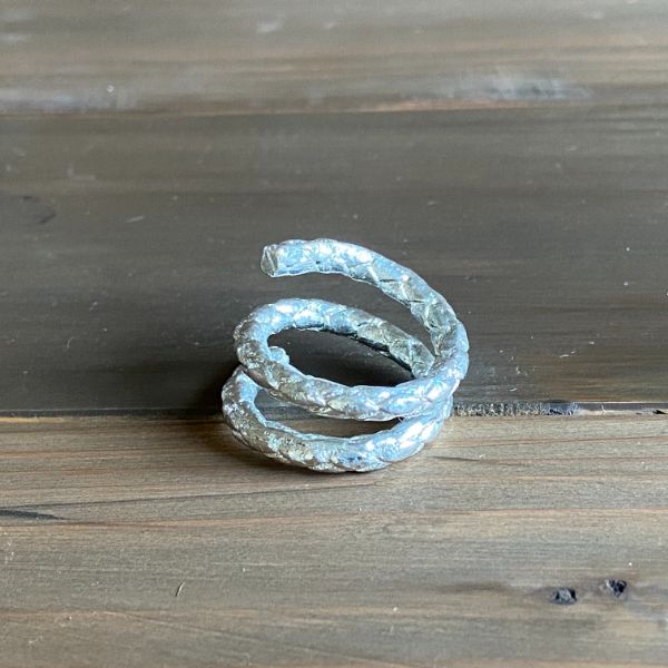 ＭＥＮ’Ｓ　ＲＩＮＧ　ＰＹＴＨＯＮ